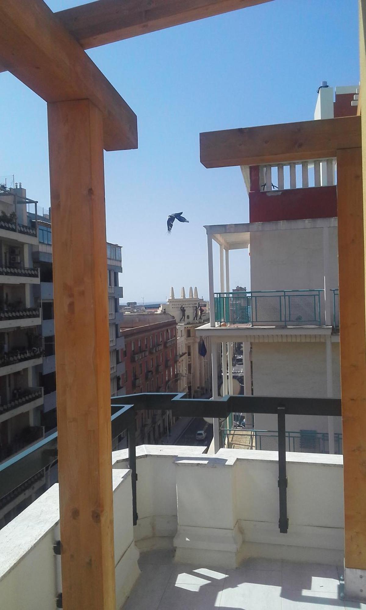 Monolocale Sonnino Villa Cagliari Eksteriør bilde